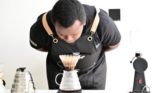 Professional Barista Course