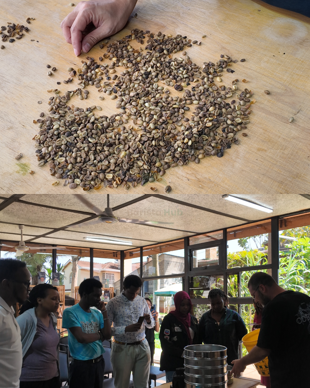 Beginner Coffee Training: Start Your Coffee Journey Today